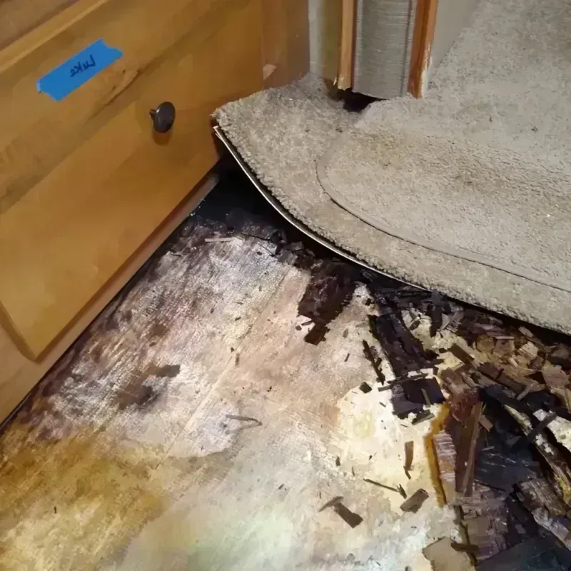 Best Wood Floor Water Damage Service in La Paz County, AZ